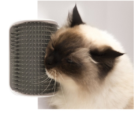 Cat Self-Grooming Brush Pet